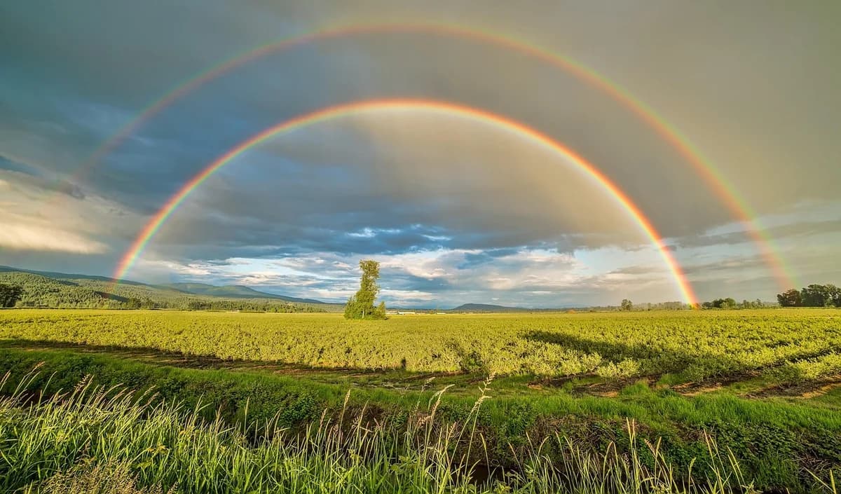What the Rainbow Bridge Poem Means and Who Wrote It